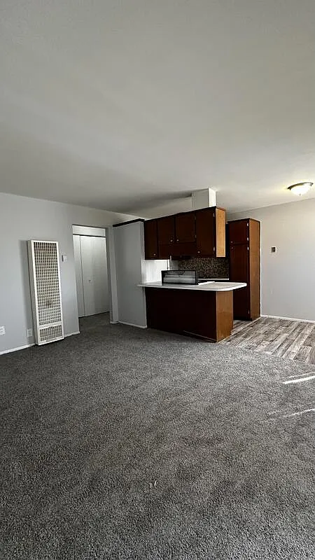 1 bed, 1.0 bath, 700 sqft, $725 — Photo 3