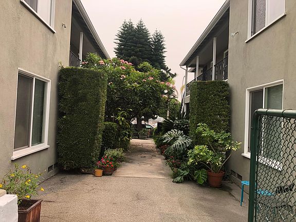 Shared courtyard with a huge Plumeria tree that smells like Hawaii! Security mailbox near sidewalk.