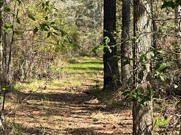 3264 Daley Rd, Garnett, SC 29922