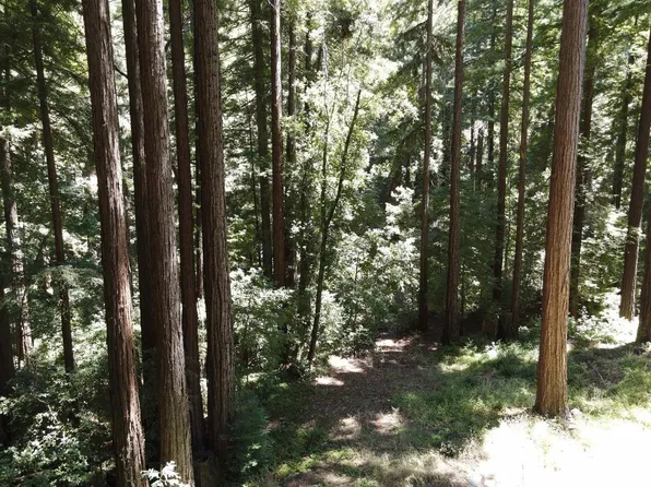 305 McGaffigan Mill Rd #1, Boulder Creek, CA 95006