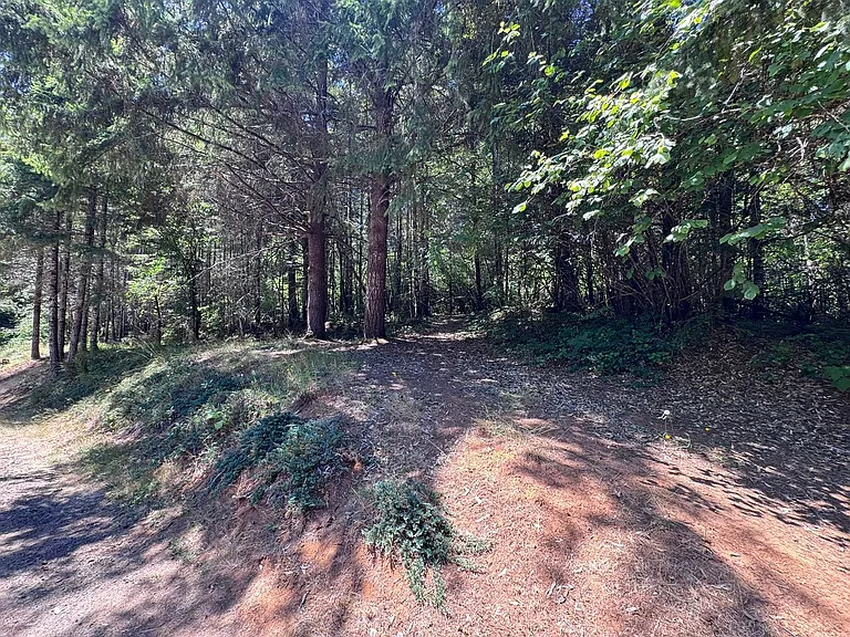 90242 Baker Rd — Photo 13