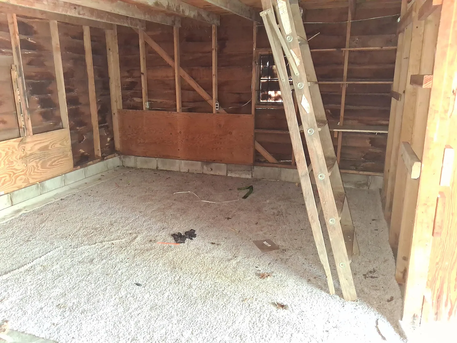 4233 Holt Road - 0 — Photo 3