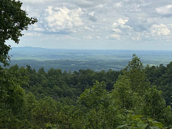 views from road through subdivision