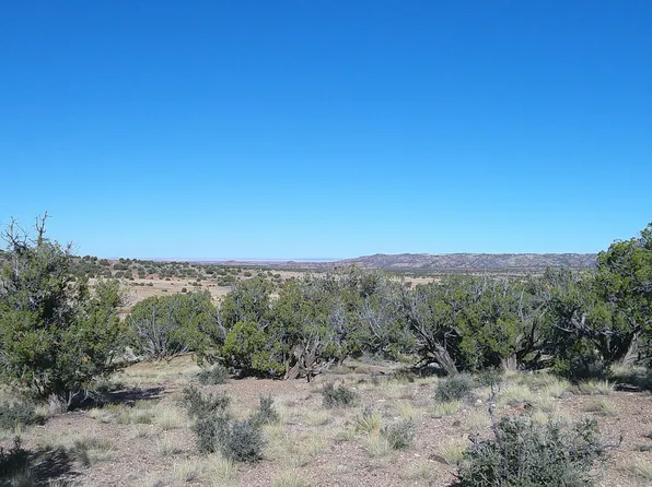 Concho Hwy #3, Concho, AZ 85924