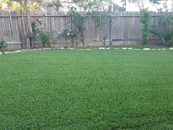 2nd image of 3607 Bristleleaf Dr