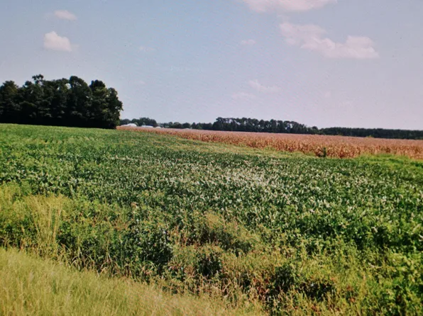 3724 Alex Benton Rd #17B, Newton Grove, NC 28366