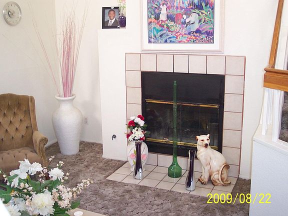 Fireplace and Hearth