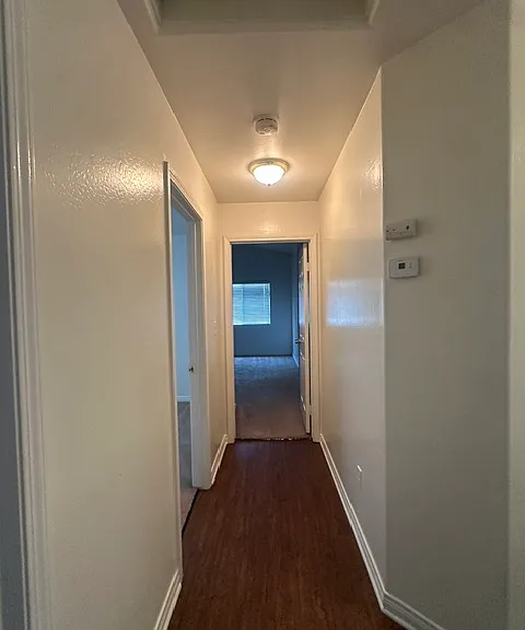 4204 Serene Oak Dr — Photo 6
