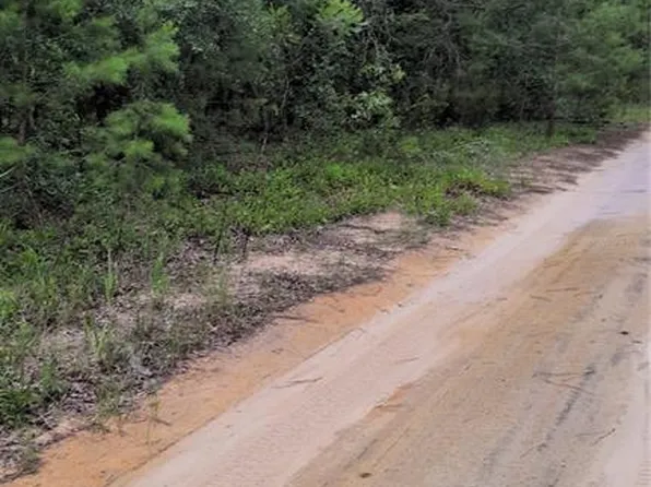 PINEWAY DRIVE LOT 34, INTERLACHEN, FL 32148
