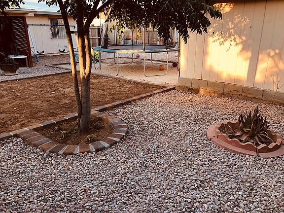 back yard 3