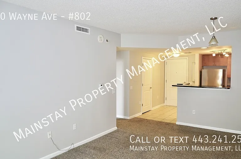 930 Wayne Ave #802 — Photo 7