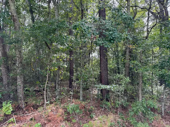 0 Wertz St, Orangeburg, SC 29115