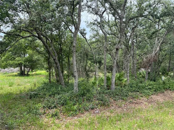 E Saffron Ct Lot 2, Eustis, FL 32736