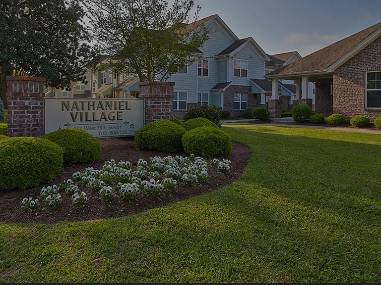 Nathaniel Village — Photo 8