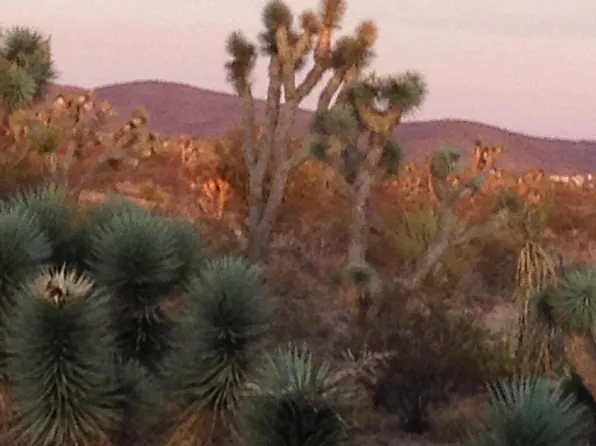 8651 W INDIAN PEAK Drive #115, White Hills, AZ 86445