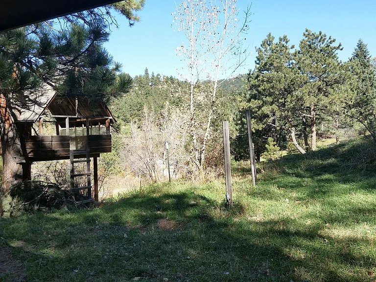 853 Wagonwheel Gap Rd — Photo 15