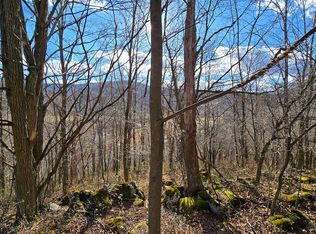 Big Spring Elk, Slatyfork, WV 26291