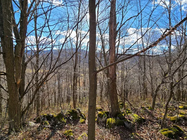 Big Spring Elk, Slatyfork, WV 26291