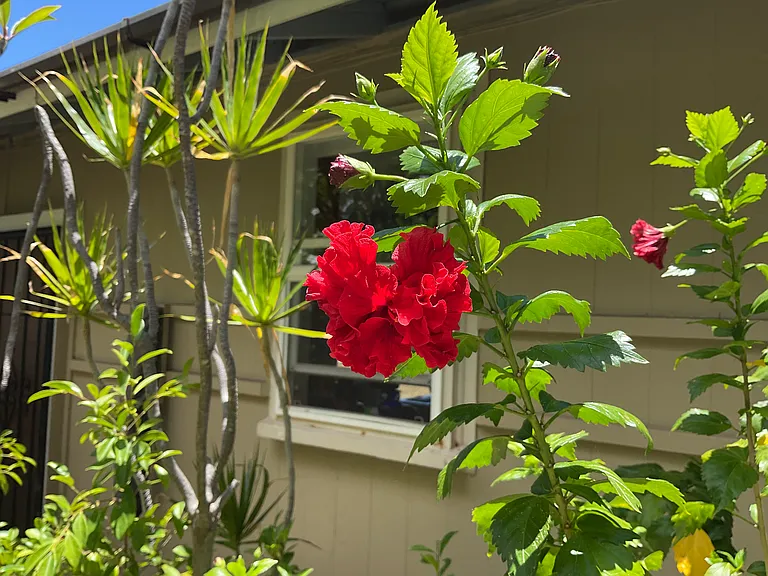 110 Beach Pl — Photo 21