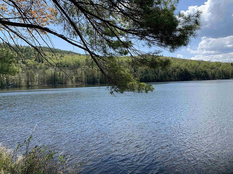 5th image of 5142 LINCOLN POND Road