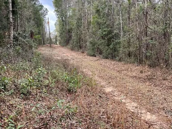 LOT 14 Bear Hewett Landing Rd, Bonifay, FL 32425