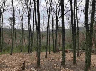 695 Edson Ln, Landrum, SC 29356