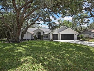 7233 Royal Oak Dr, Spring Hill, FL, 34607