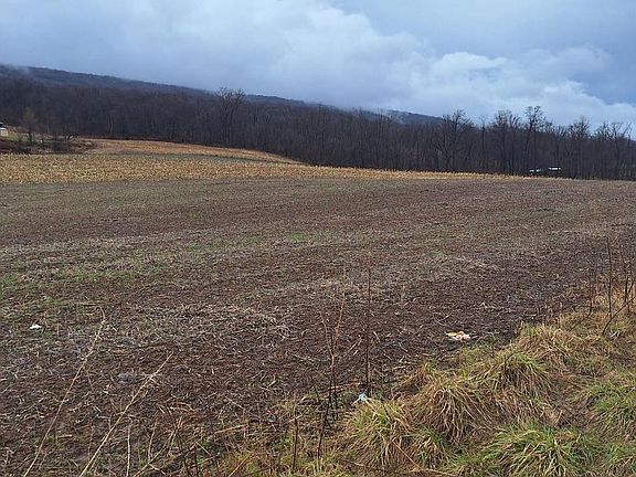 4th image of 5172 Raccoon Valley Rd