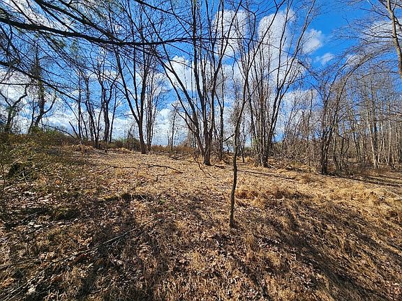 5th image of Tbd Fries Rd