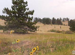 Mount Champion Dr, Livermore, CO 80536