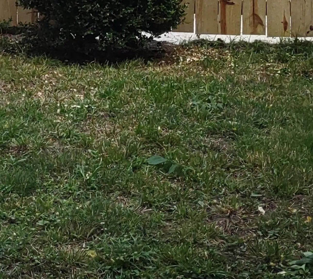 E Central Ave, Delaware — Photo 3