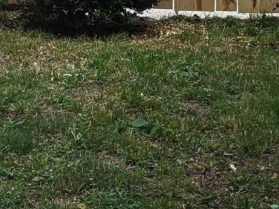 3rd image of (Undisclosed Address)