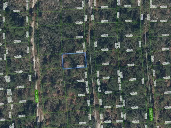 268 Blue Heaven Dr, Lake Placid, FL 33852