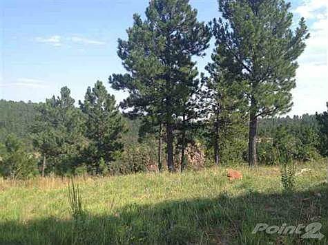 BLACKHILLS109730A[1]