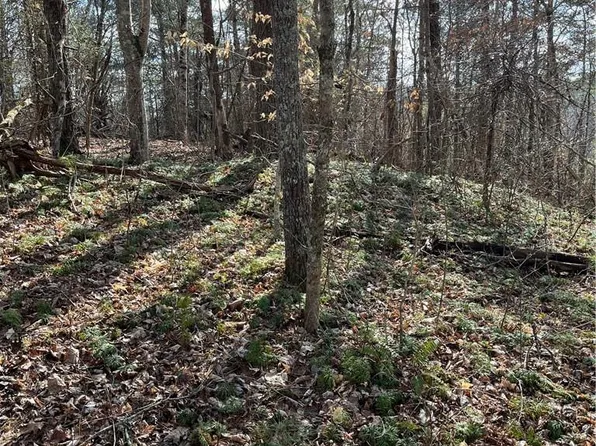 999B Sams Rd, Mars Hill, NC 28754