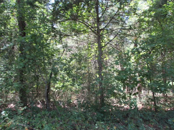 517 Rains County Rd #1275, Emory, TX 75440