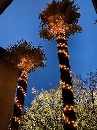 400 Rencliffe Apartments Photo 1