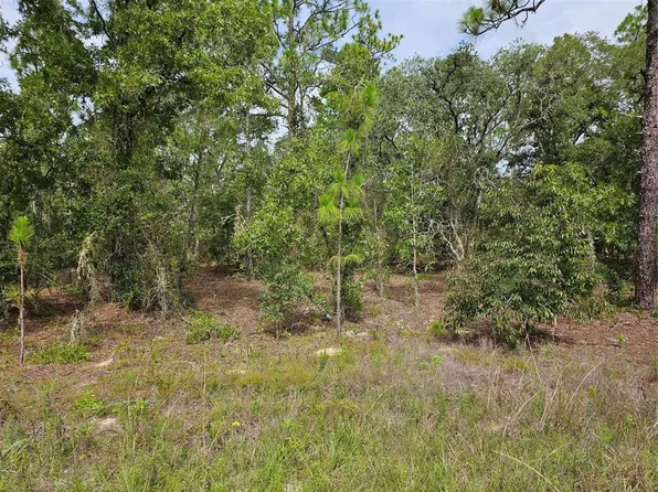 00 SW 122 AVENUE LOT 6, DUNNELLON, FL 34432