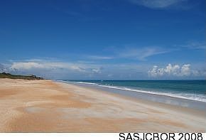 The Beach
