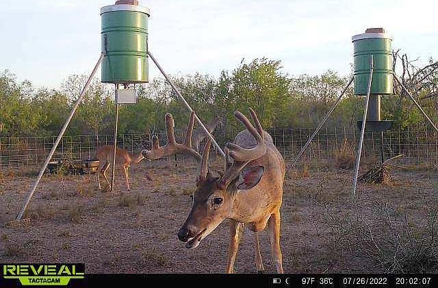 1st image of 0 Sendero Creek Rd #4S