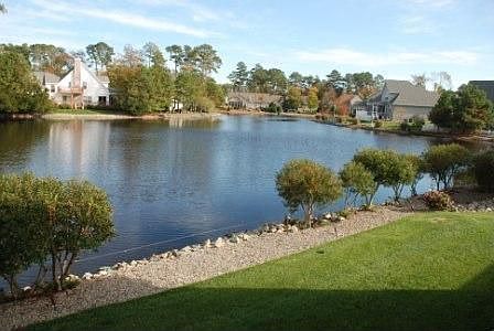 backyard pond view