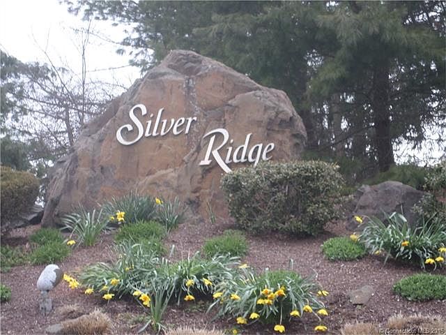 Silver Ridge
