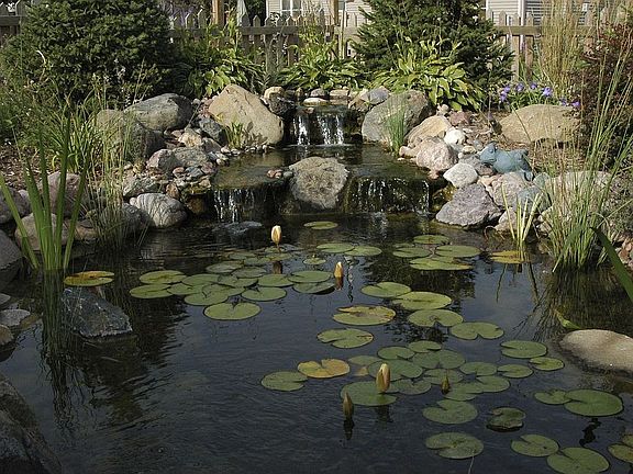 back yard pond looking from deck