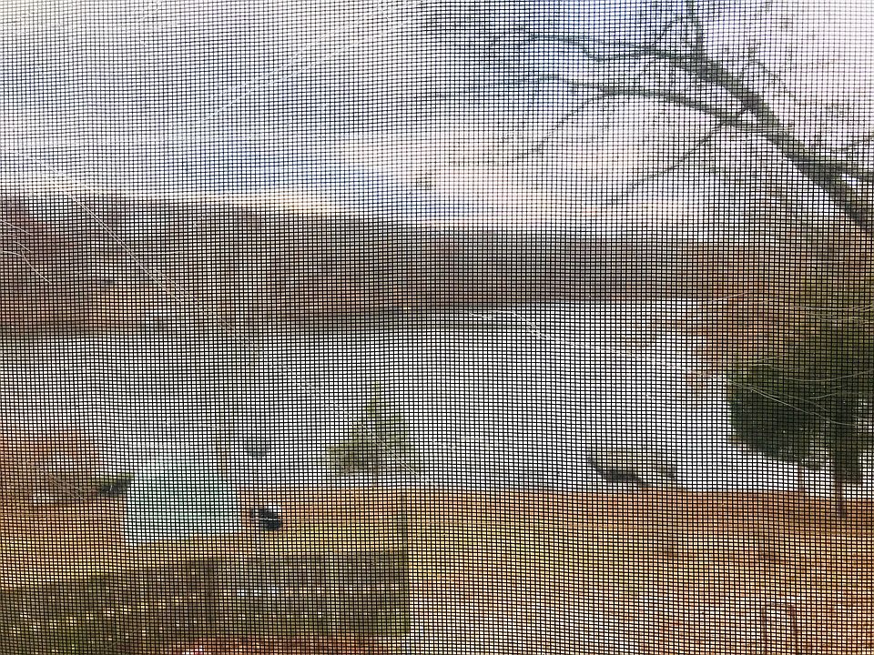 2nd image of 352 Red Bird Cir