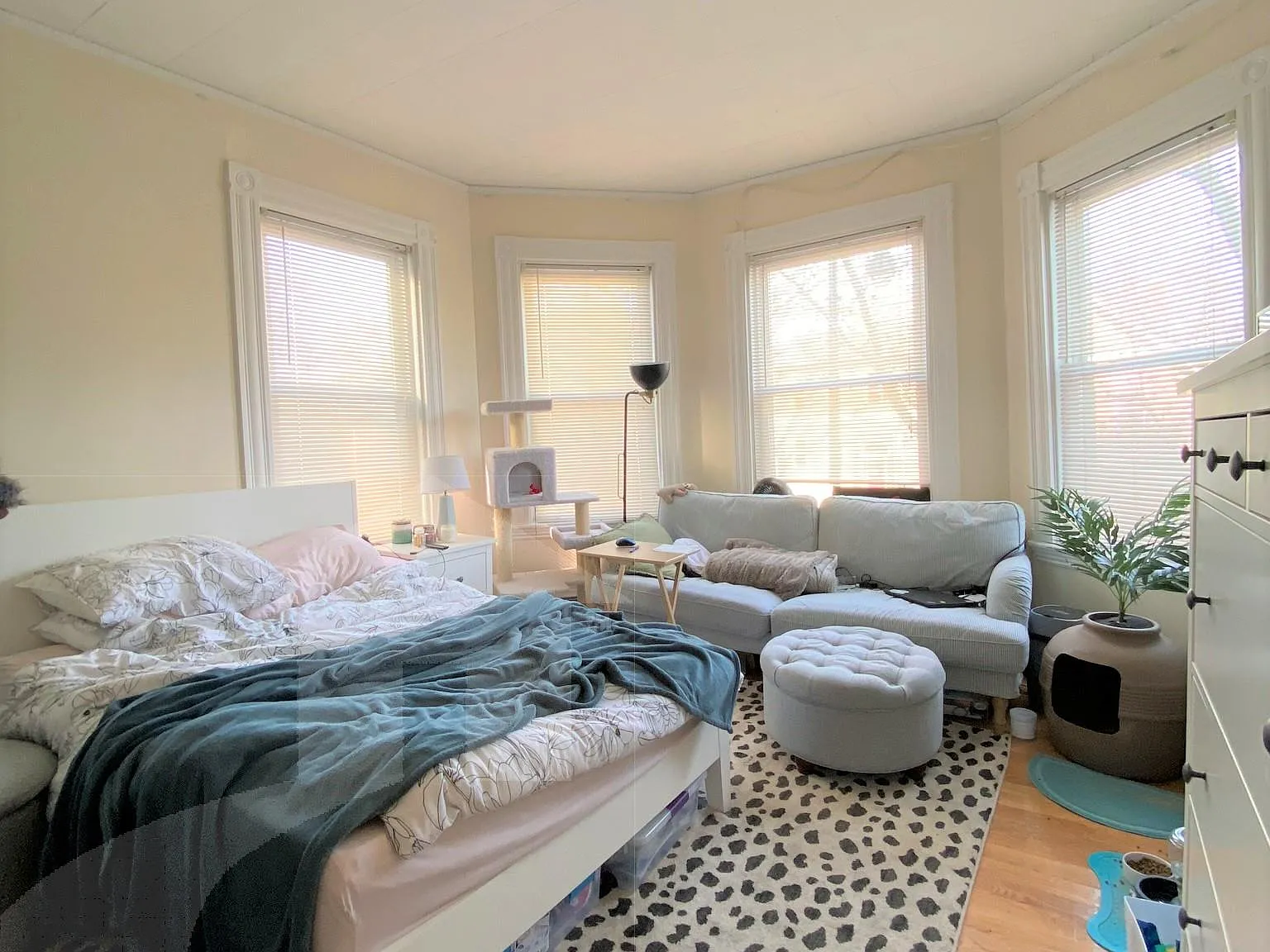 3 bed, 1.5 bath, 1200 sqft, $4,400 — Photo 4