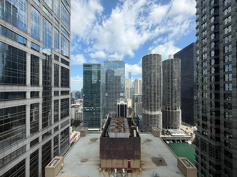 200 N Dearborn St #3407 — Photo 19