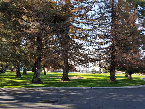Community Area 