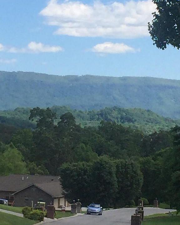 1st image of 739 Pioneer Dr