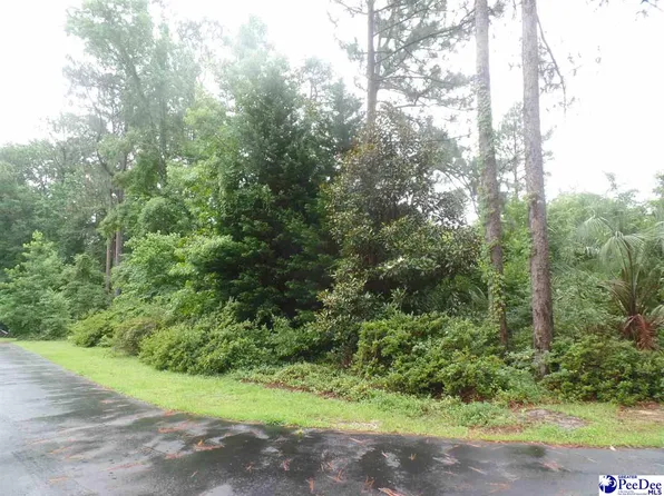 Linkside Lot 3, Hartsville, SC 29550