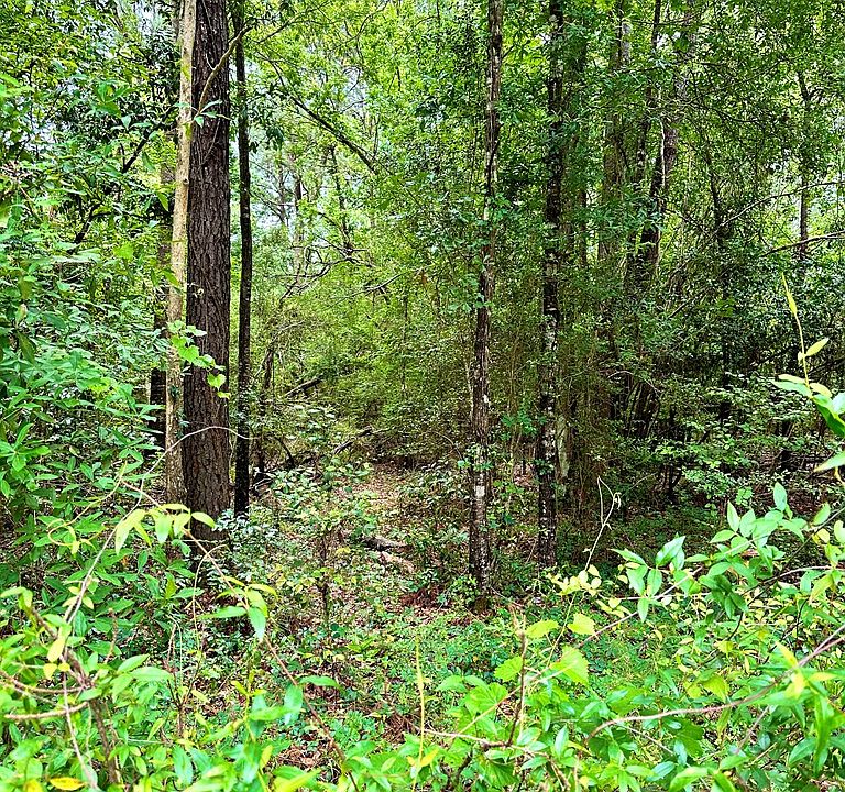 R12864 County Road 557, Kirbyville, TX 75956 MLS 71811 Zillow